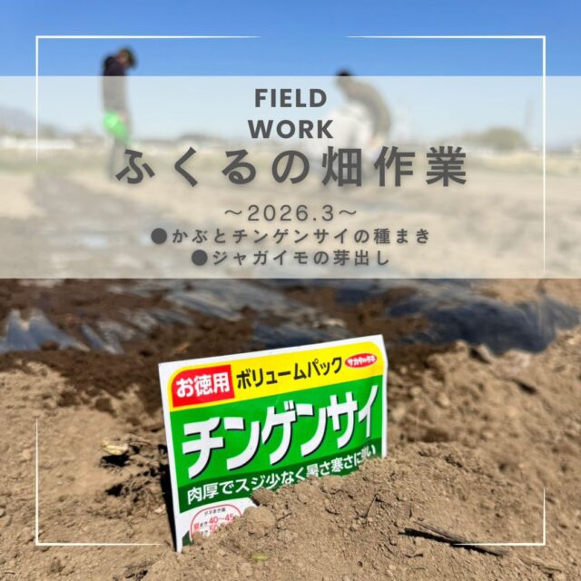 ふくるの畑作業🌱
今回は3月の活動報告です。
かぶとチンゲンサイの種を撒いてみました🔰
また、少し前に植えたジャガイモの可愛い芽が出てきましたー❤️